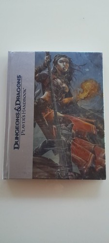Dungeons and dragons - 4, players