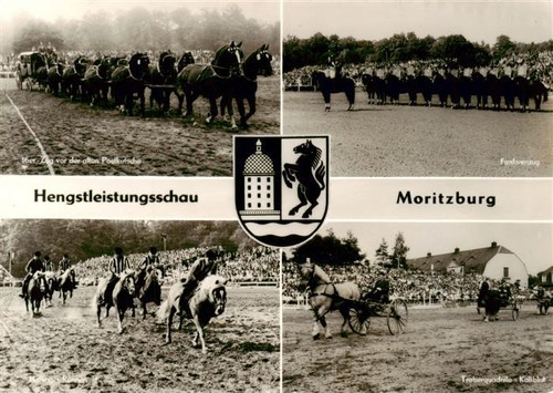 Moritzburg sachsen - moritzburg,