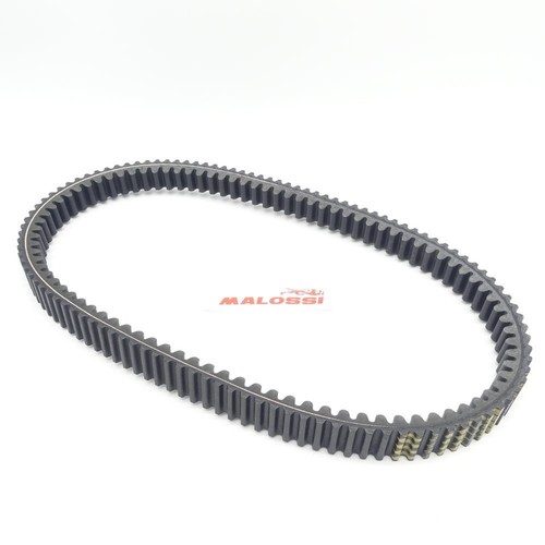Malossi mhr belt - k,