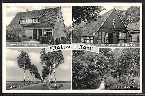 Meitze hann - ak, i.