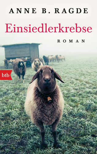 Einsiedlerkrebse anne b - |,