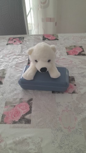 Eisbär kuscheltier - eisbär,