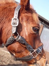 Halfter aus Leder/Nylon mit Ohrenfreiheit Größe : Cob / Vollblut ,schwarz