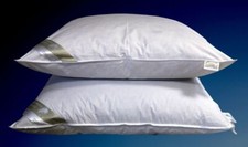 2 Stück Hofmann Kopfkissen