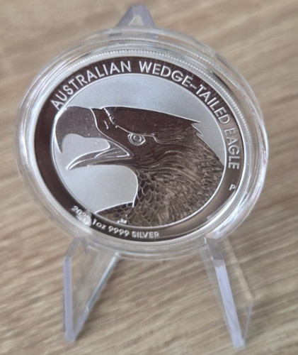 Wedge tailed eagle 2022 - oz,