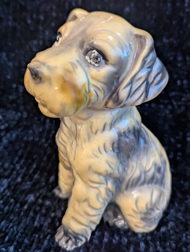 Rauchverzehrer hund terrier - hund,