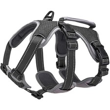 Hundegeschirr, verstellbar