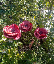 Gartenstecker, Keramik