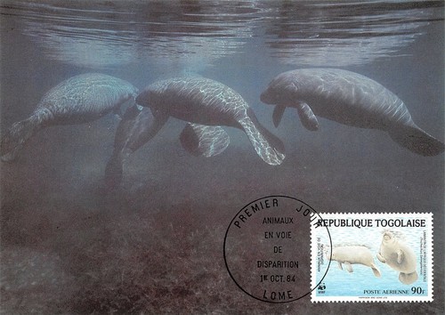 765378 togo maximumkarten - togo,