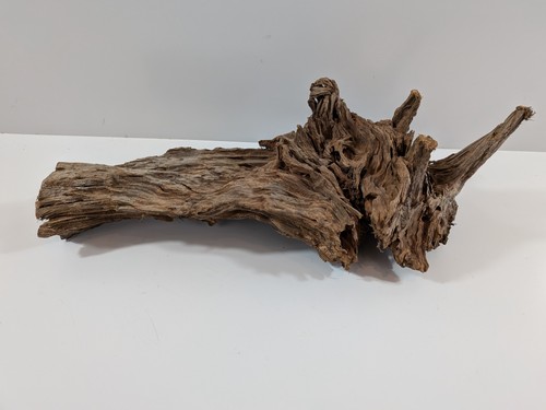 Mangrovenwurzel lbh ca - (lbh,
