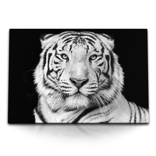 120x80cm wandbild auf leinwand - 120x80cm,