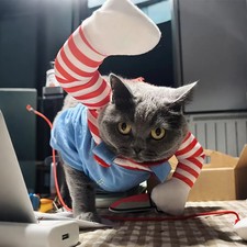 Katzen Hund Kostüm Cosplay