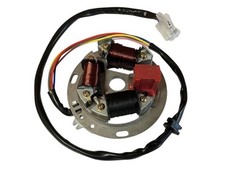 6V Lichtmaschine Stator Zündung für Simson S51 SR50 KR51 Schwalbe