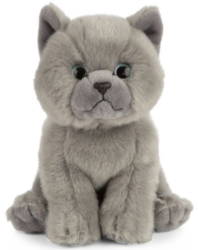 Kurzhaar katze 16cm - kurzhaar-katze,