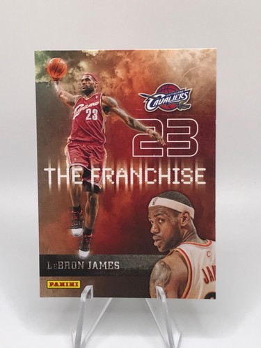 Lebron james 2009 - james, panini