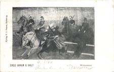 Pferde - Circus Barum & Bailey