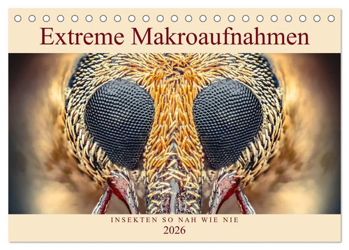 Extreme makroaufnahmen - extreme,