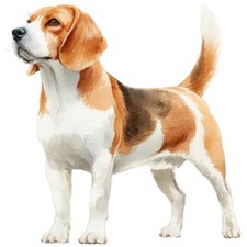 2x Sticker Beagle Car Sticker