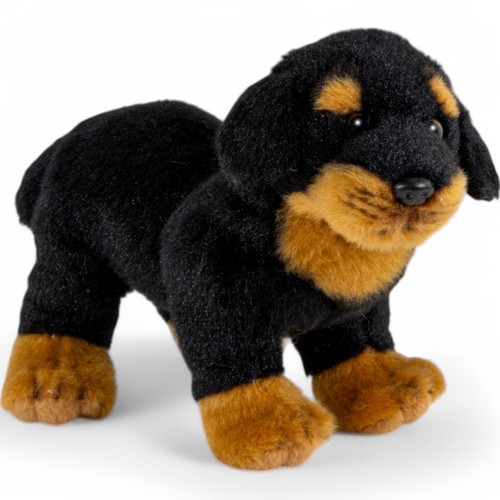 Rottweiler hund stehend - rottweiler,