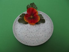 Arzberg Daily, Colori Points *