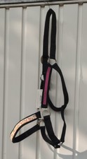 Showmaster pferdehalfter - showmaster,