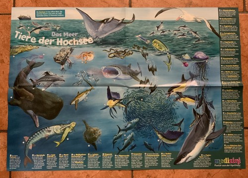 Medizini wissensposter das - wissensposter,,