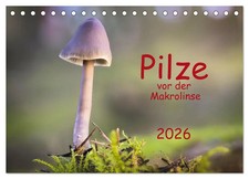 Pilze vor der Makrolinse 2026