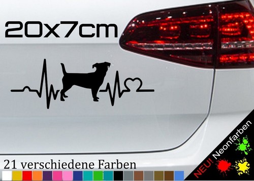 Herzschlag jack russell - herzschlag,