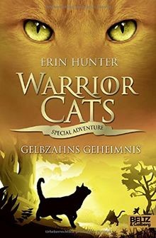 Warrior cats special - cats,