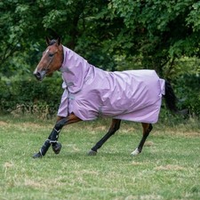 % Bucas Freedom Turnout Light