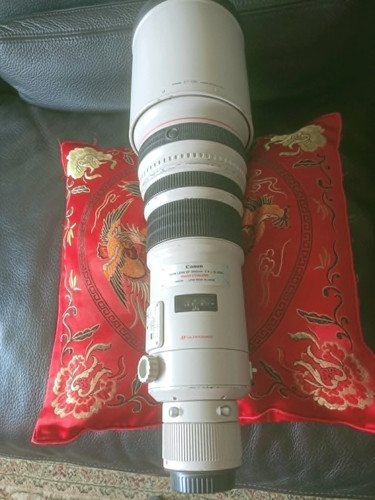 Canon 500mm 500 - canon,