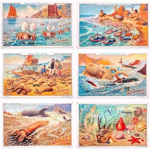 Palmin sea life sammelkarten - palmin,