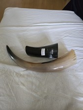 Echtes Kuhhorn – Natur Deko rustikal hohl