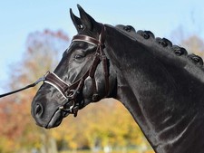 BUSSE Braun (Creme) VB/ WB