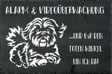 SHIH-TZU Hundewarnschild
