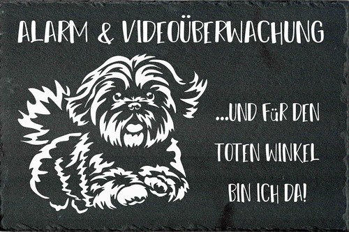 Shih tzu hundewarnschild - shih-tzu,