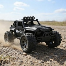 1:16 Ferngesteuertes Auto