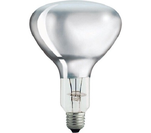 Philips br125 250w - philips, 230-250v