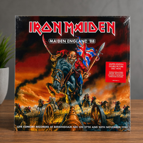 Iron maiden - iron,