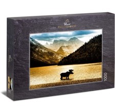 Ulmer Puzzleschmiede - Puzzle