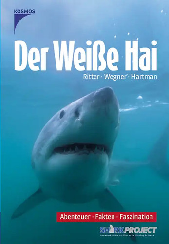 Der weisse hai abenteuer - der,