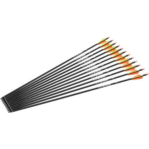 Pfeile carbon zoll - carbon, 12