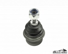 Traggelenk / Vorne für