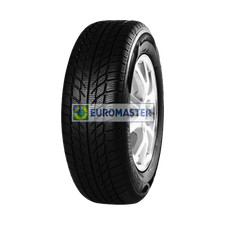 Winterreifen GOODRIDE 195/60 R
