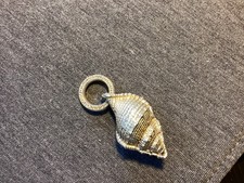 Drachenfels Spitz Muschel