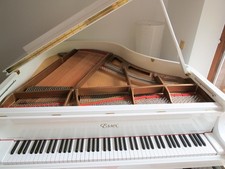 Flügel / Klavier - Essex EGP-155C - Weiß - 155cm