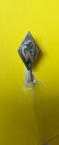 Anstecknadel des werder - anstecknadel,