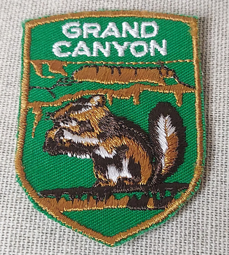 Vintage grand canyon chipmunk - vintage,