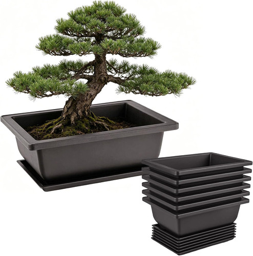 Stück bonsai schale - stück,