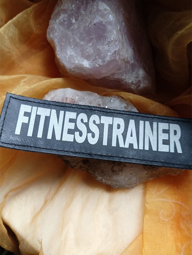 Fitnesstrainer klettlogo 11 - klettlogo,